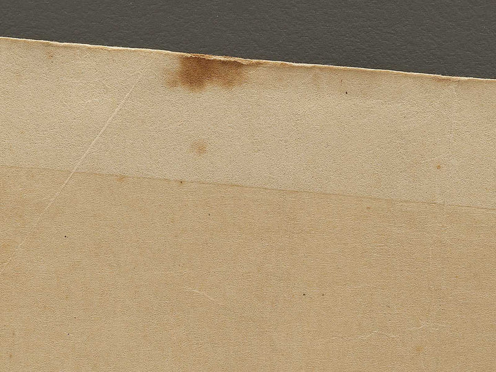 Dai juichi from the series Nihon shinkei gafu by Yamada Shokei / BJ328-216