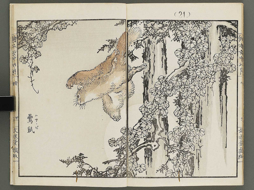 Ehon inaka no tsuki Setsu by Kono Bairei / BJ341-222