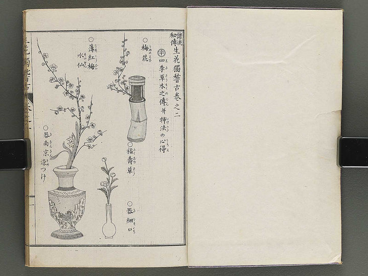 Shoryu hiden ikebana hitorigeiko Volume 2 / BJ347-935