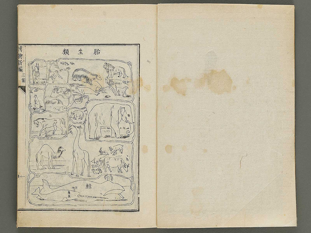 Hakubutsu Shinpen Volume 3 / BJ336-476