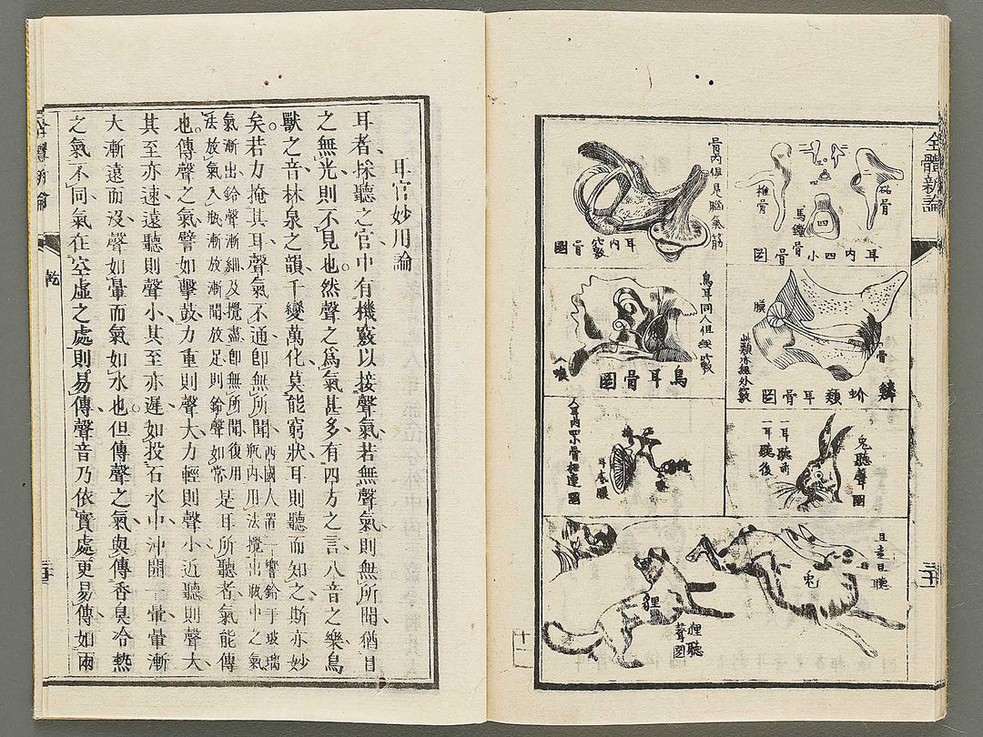 Zentai shinron Ken (Part 1 of 2) / BJ325-346