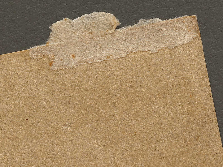 Kabuki actor / BJ325-388