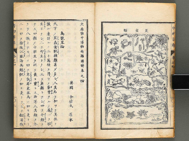 Hakubutsu shinpen yakkai Volume 4 / BJ326-879