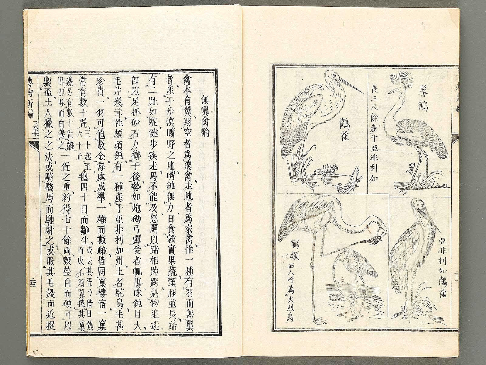 Hakubutsu Shinpen Volume 3 / BJ318-262 – NIHONKOSHO