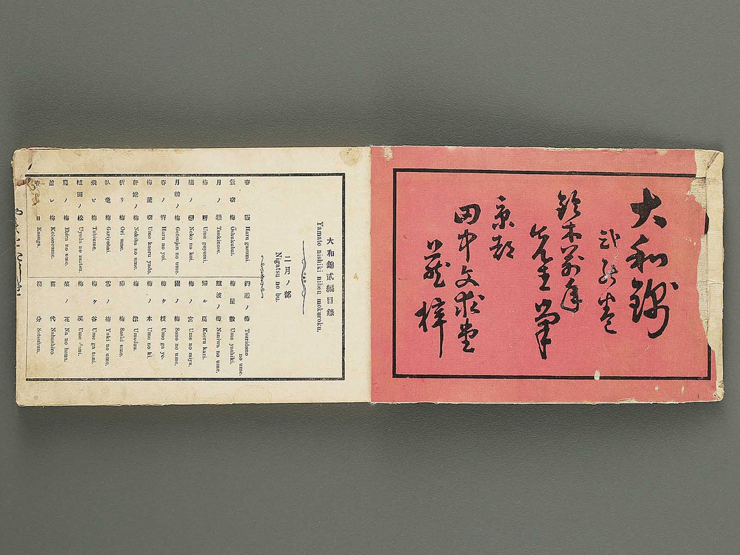 Yamato nishiki Volume 2 by Suzuki Mannen / BJ343-434
