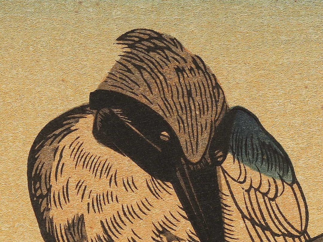 Duck and Kingfisher from the series Momotidori kyoka awase by Kitagawa Utamaro, (Large print size) / BJ328-349