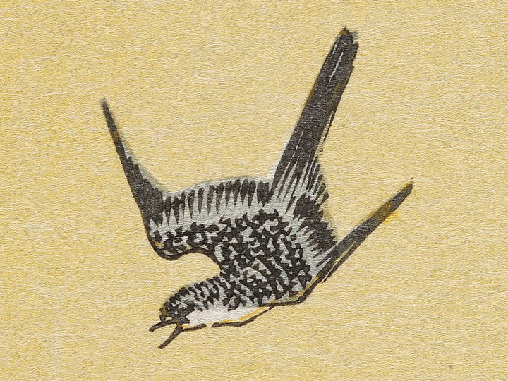 Uzuki no zu from the series Imayo junikagetsu by Utagawa Toyokuni, (Large print size) / BJ308-987