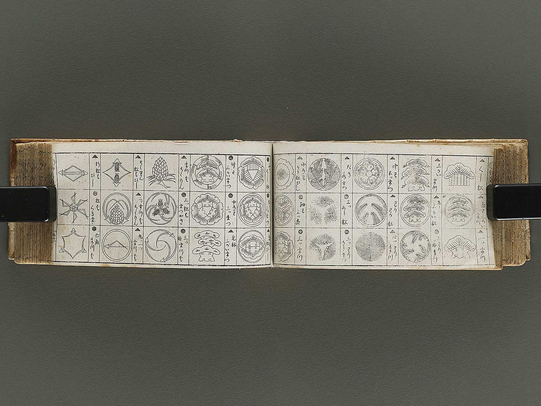 Iroha biki moncho / BJ336-483