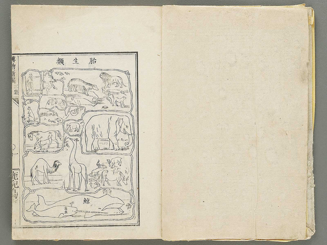 Hakubutsu Shinpen Volume 3 / BJ330-869