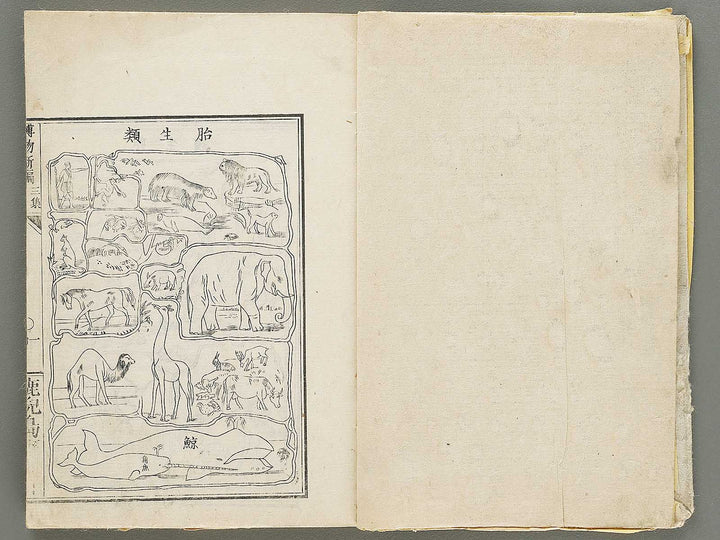 Hakubutsu Shinpen Volume 3 / BJ330-869