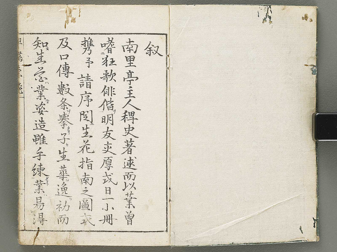 Ikebana hayamanabi / BJ331-275