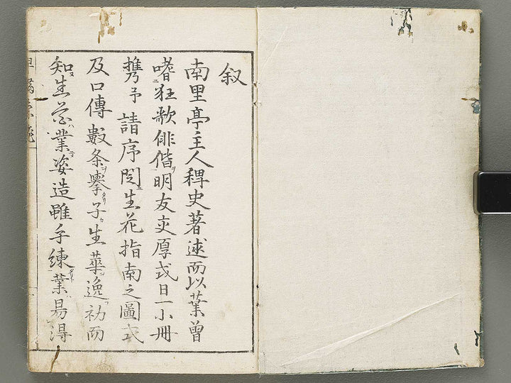 Ikebana hayamanabi / BJ331-275