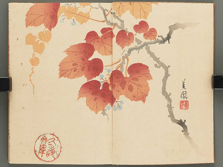 Shunga / BJ348-243