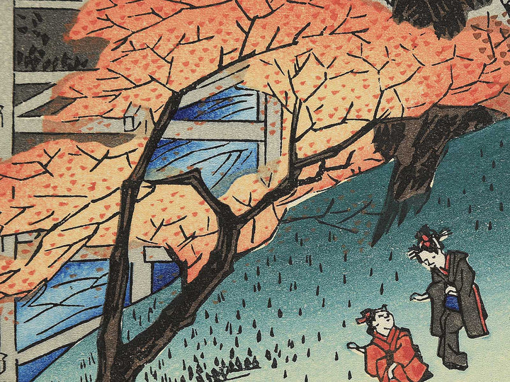 Tsutenkyo no momiji from the series Kyoto meisho no uchi by Utagawa Hiroshige, (Medium print size) / BJ341-859