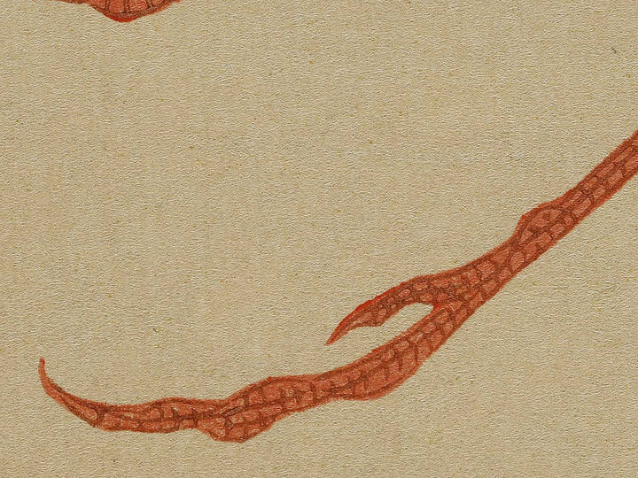 Konotori by Katsushika Hokusai / BJ321-650