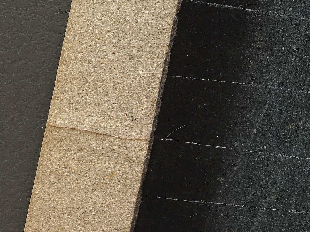 Ueno sanmon from Tokyo meisho zue by Utagawa Hiroshige III / BJ339-507