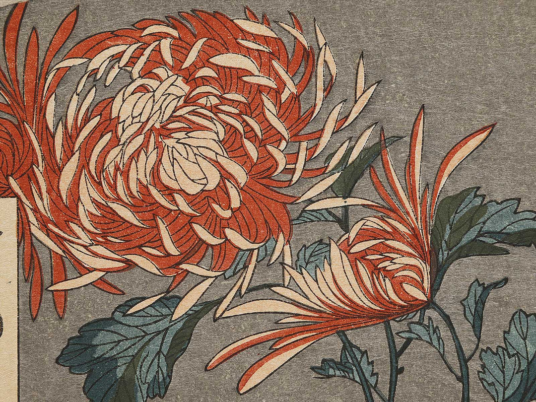 Kiku ni cho by Utagawa Hiroshige, (Large print size) / BJ324-737