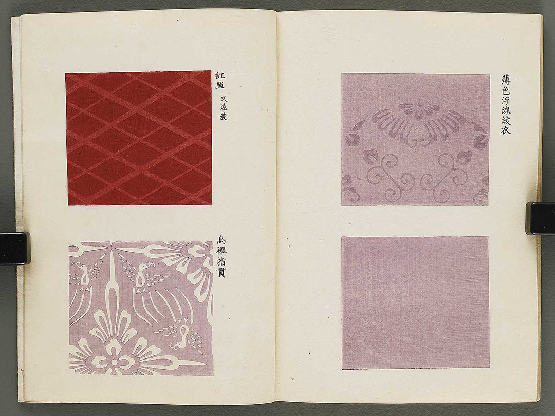 Kojitsu sosho shokumon zue Miyukibu kohen / BJ318-521