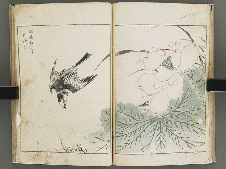 Shucho gafu (Jin) (Part 3 of 3) by Numata Kashu / BJ339-752