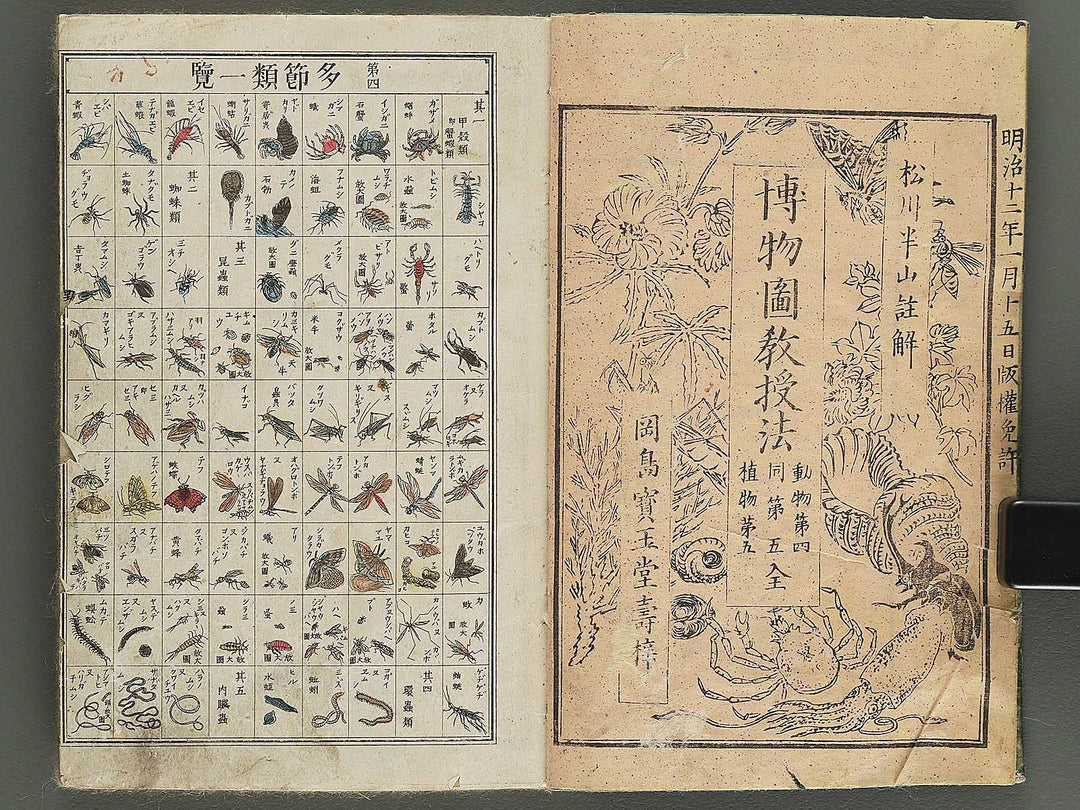 Hakubutsu kyojyuho Volume 4-5 by           / BJ344-729