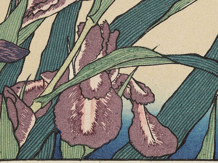 Iris and Grasshopper by Katsushika Hokusai, (Medium print size) / BJ327-432