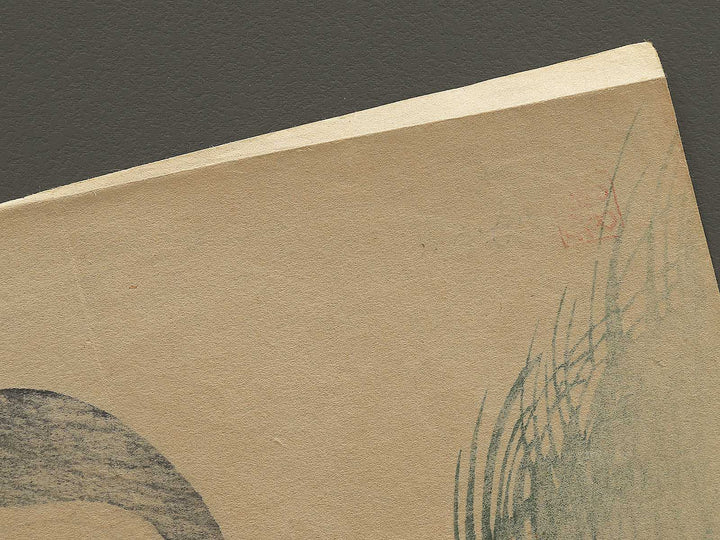 Saotome by Kondo Shiun / BJ353-031