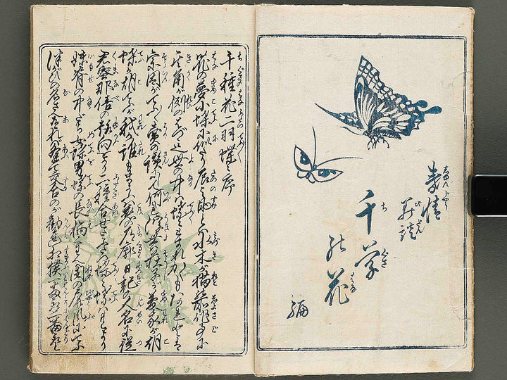 Chigusa no hana futatsu chocho / BJ326-802