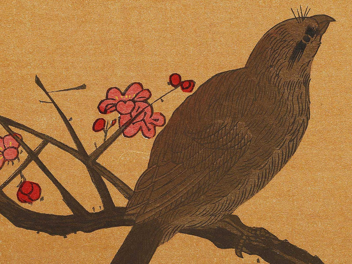 Hawk and Shrike from the series Momotidori kyoka awase by Kitagawa Utamaro, (Large print size) / BJ328-293