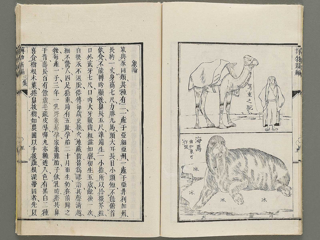 Hakubutsu Shinpen Volume 3 / BJ335-412