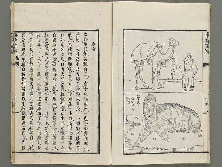 Hakubutsu Shinpen Volume 3 / BJ335-412
