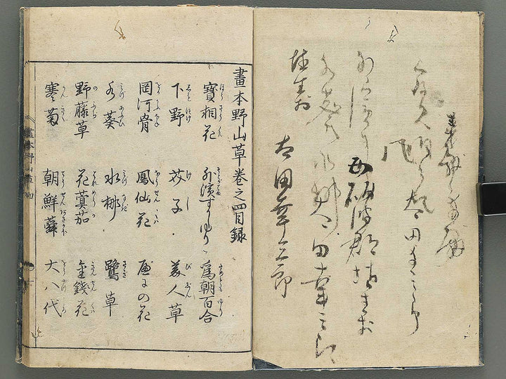 Gahon noyama gusa Volume 4 / BJ346-332