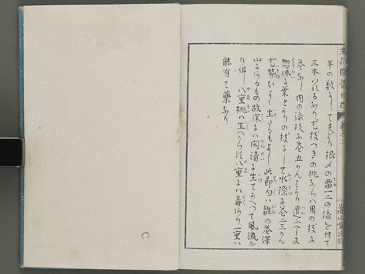 Shoryu hiden ikebana dokushu jizai Volume 2 / BJ332-745