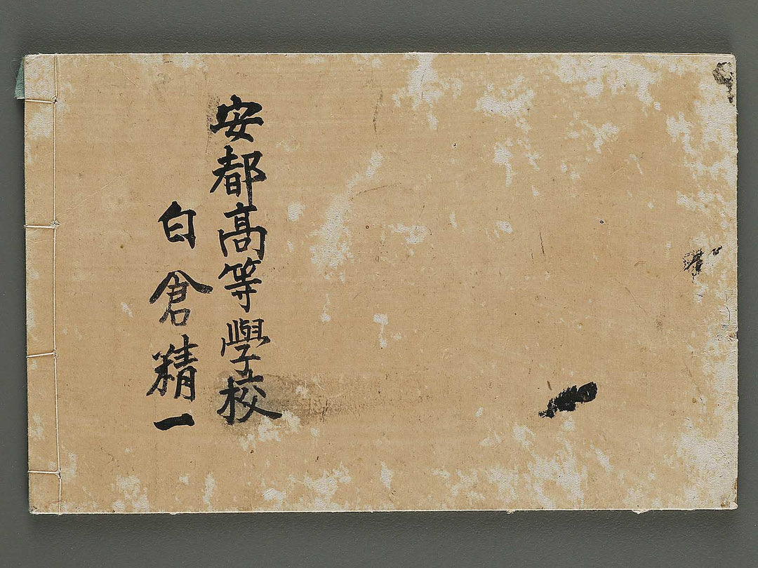 Shogaku mohitsu zugacho Volume 4 / BJ324-541