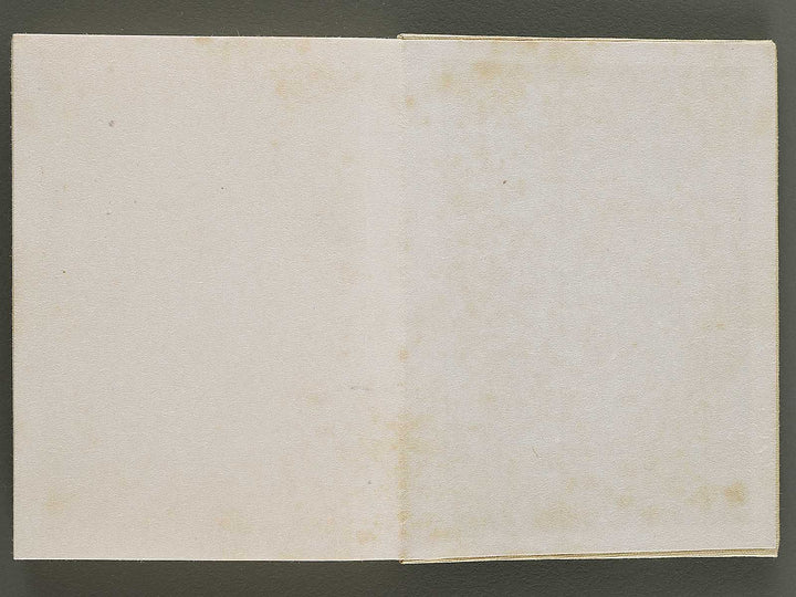 Gendai senryu kaigashu / BJ325-731