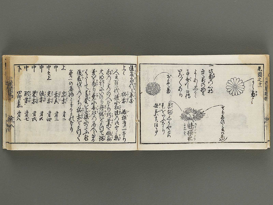 Kokon wakan banpo zensho Volume 13 / BJ341-334