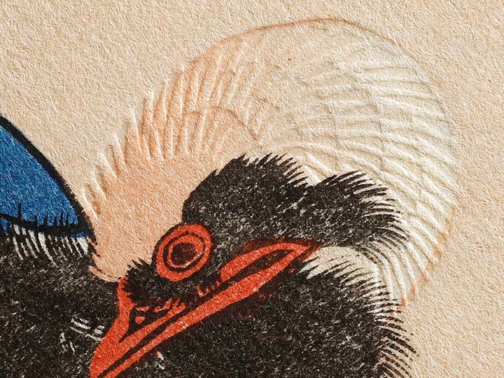 White plum blossoms & long tailed cock by Utagawa Hiroshige, (Medium print size) / BJ328-090