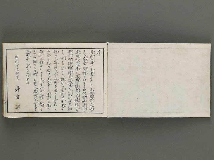 Shinpen tategu hinagata (Ge) by Izumi Kojiro / BJ335-272