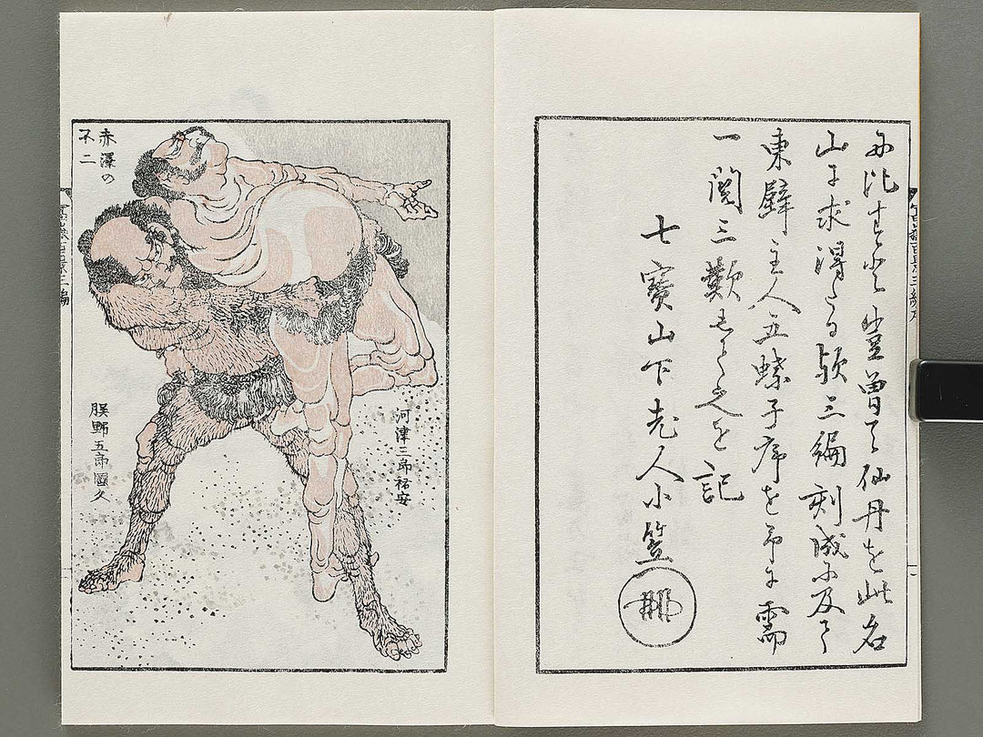 Hokusai fugaku hyakkei Volume 3 by Katsushika Hokusai / BJ331-877
