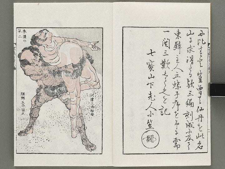 Hokusai fugaku hyakkei Volume 3 by Katsushika Hokusai / BJ331-877