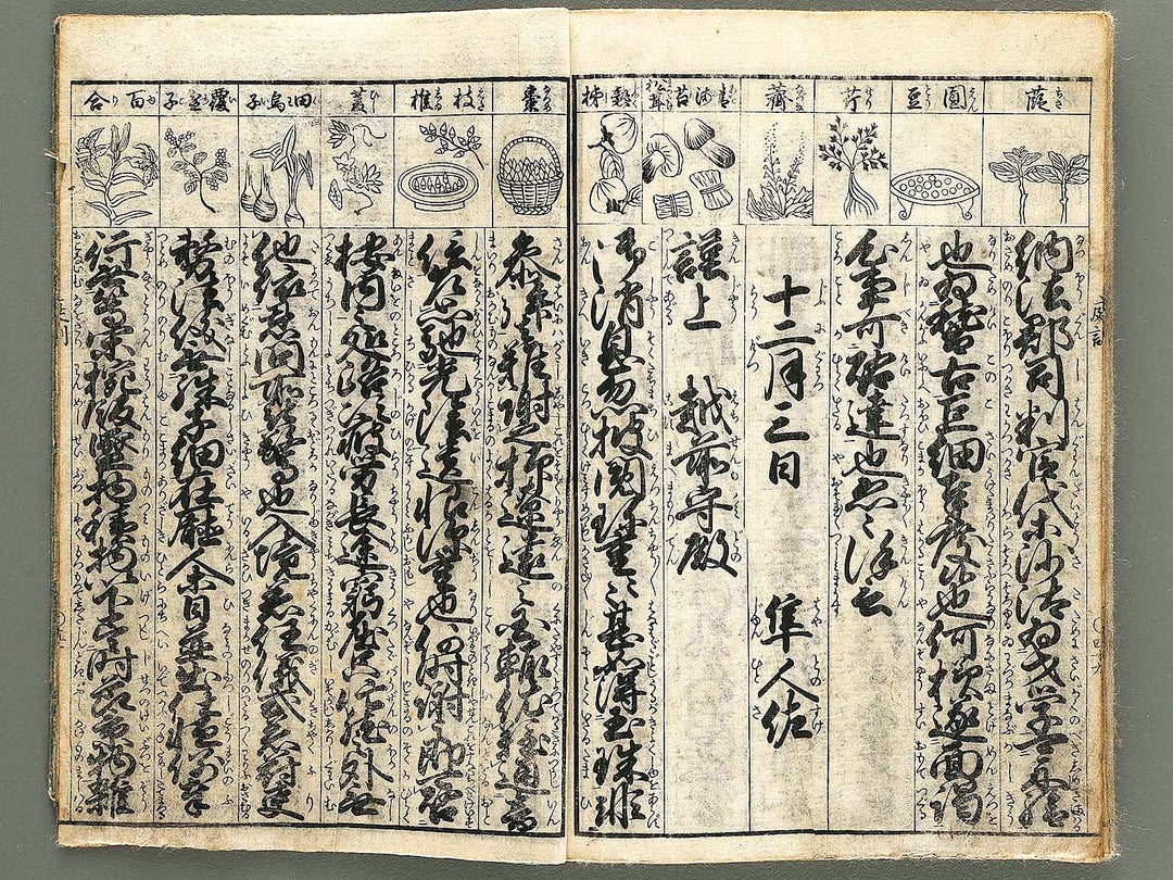 Teikin orai / BJ324-030