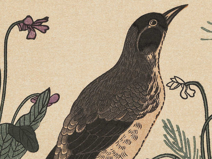 Quail and Skylark from the series Momotidori kyoka awase by Kitagawa Utamaro, (Large print size) / BJ306-887