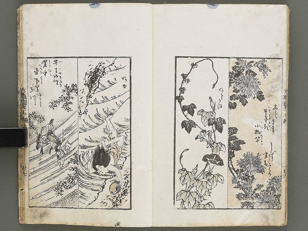 Banshoku zuko Volume 5 by Katsushika Hokusai / BJ326-116
