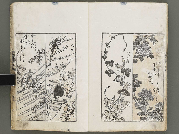Banshoku zuko Volume 5 by Katsushika Hokusai / BJ326-116
