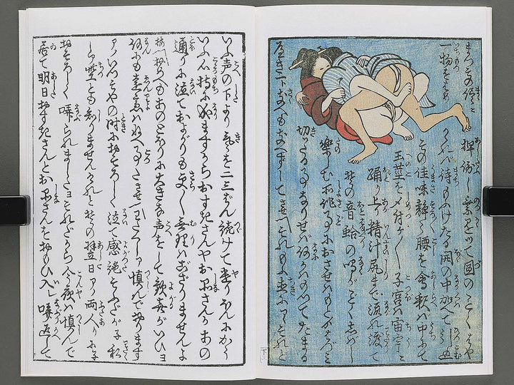 Koi no kakehashi (Chu) by Yanagawa Shigenobu / BJ346-556