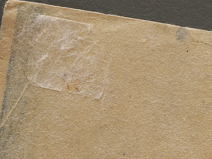 Ushiro men no kagami ishi ushiro by Utagawa Kunisada(Toyokuni III) / BJ325-675