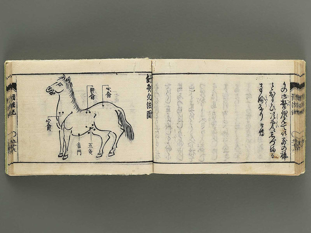 Baryo choho ki / BJ352-772