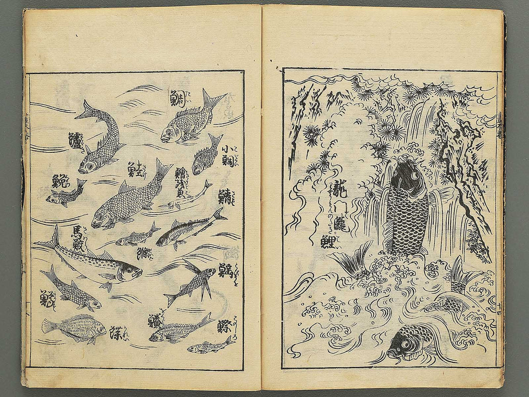 Ehon shoshin hashiradate (Ge) by Tachibana Morikuni / BJ348-649