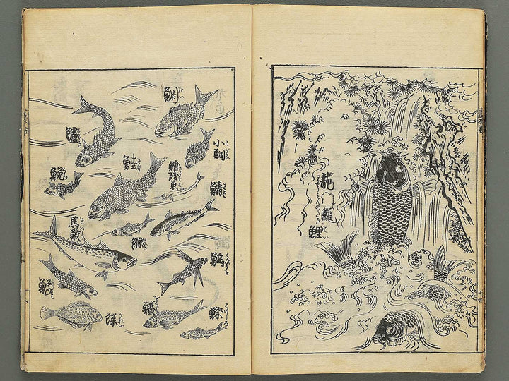 Ehon shoshin hashiradate (Ge) by Tachibana Morikuni / BJ348-649
