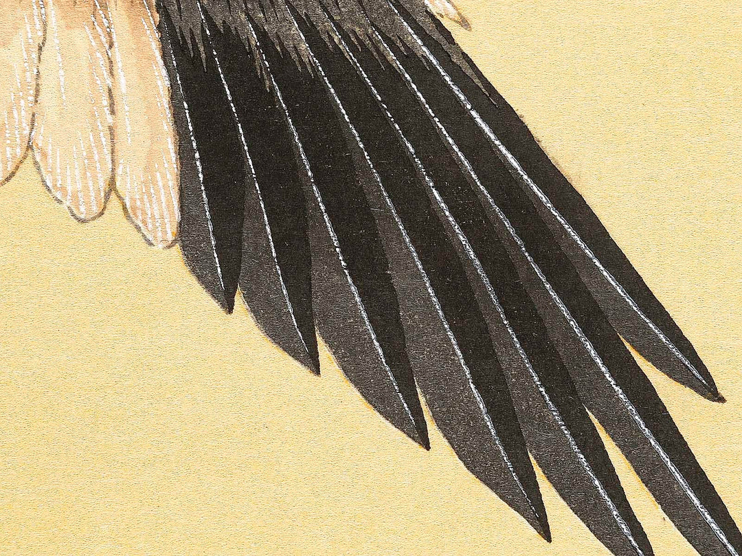 Konotori by Katsushika Hokusai, (Medium print size) / BJ319-634