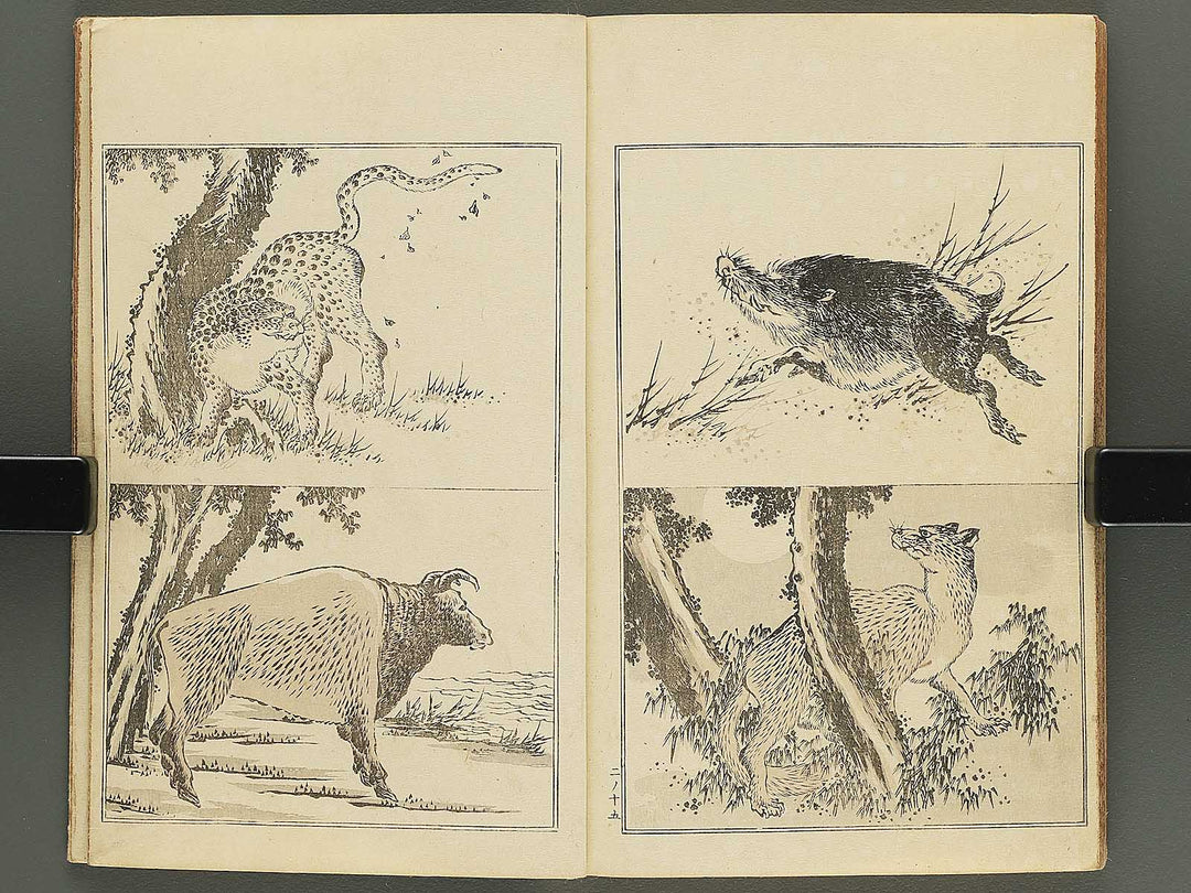 Kansai gafu Volume 2 by Ichikawa Kansai / BJ345-100